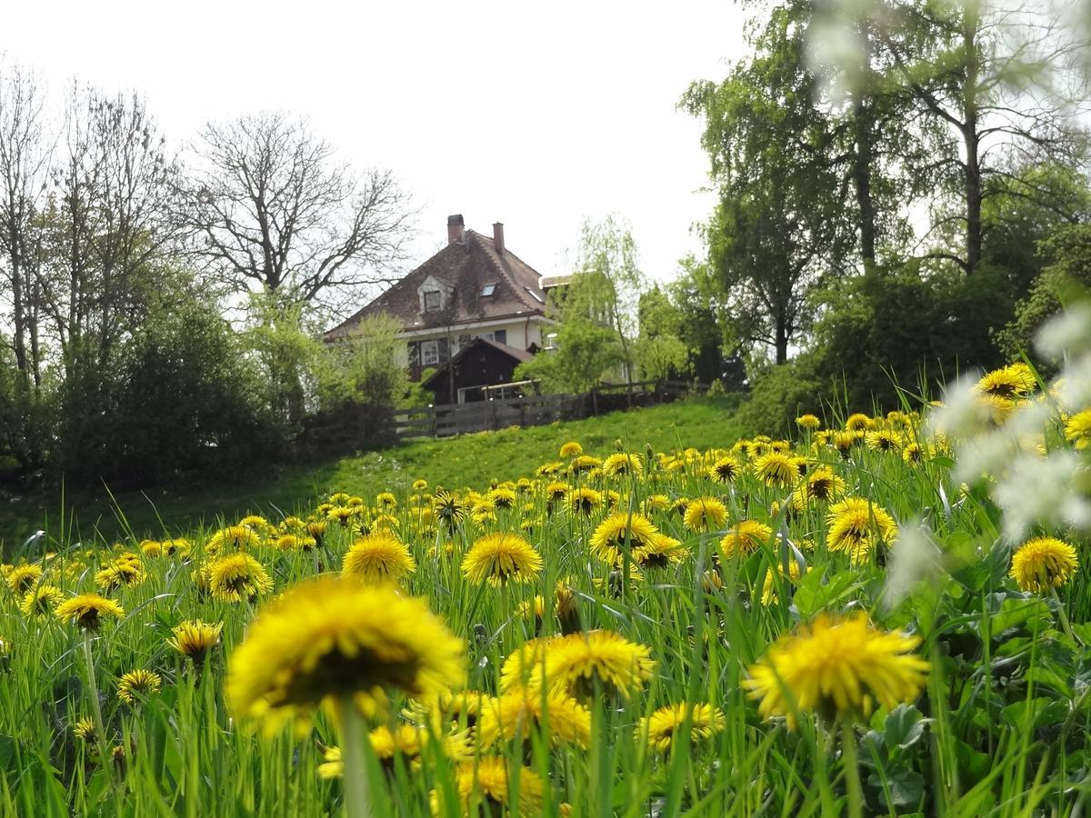 Landhaus Loewenzahn Unteregg Zewnętrze zdjęcie