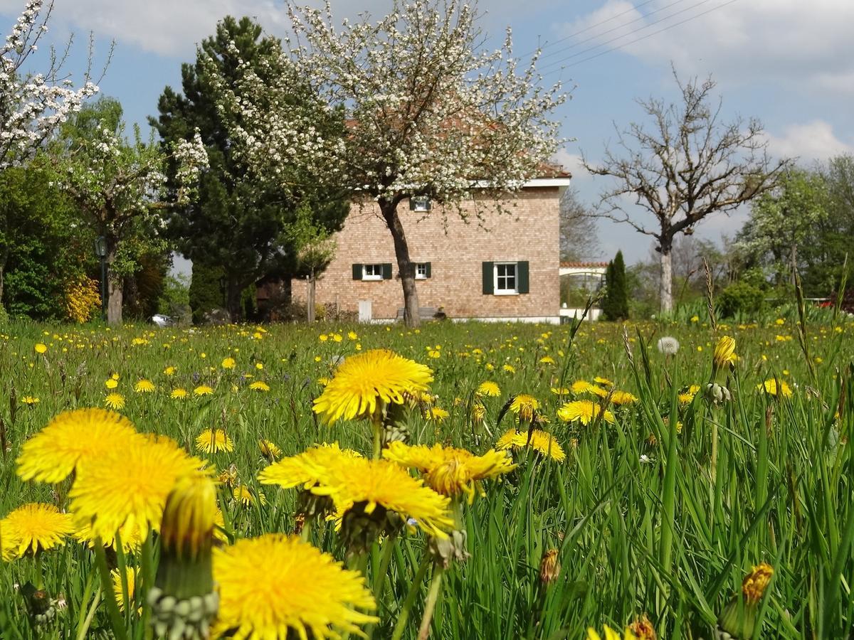 Landhaus Loewenzahn Unteregg Zewnętrze zdjęcie