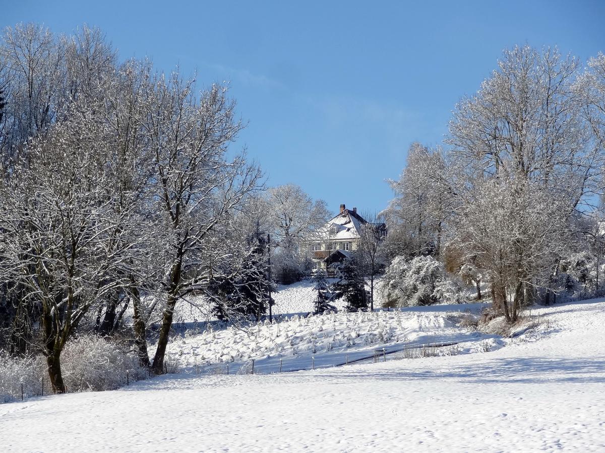 Landhaus Loewenzahn Unteregg Zewnętrze zdjęcie